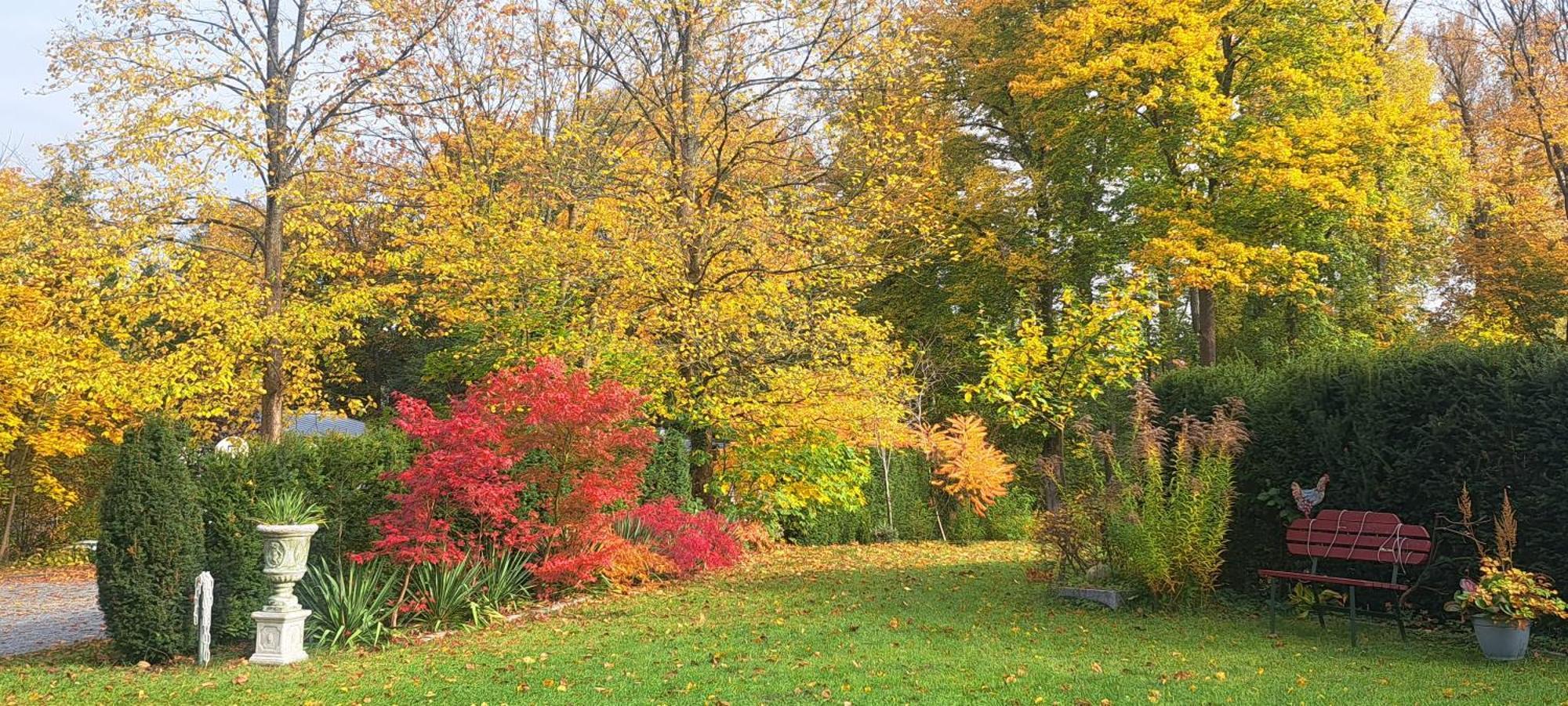 Villa Am Stechlin Neuglobsow Bagian luar foto